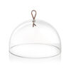 VERTIGO ヴェルティーゴ ガラス製ドームディスプレイ+木製円形ボード - 革製の紐(木製ボード付)